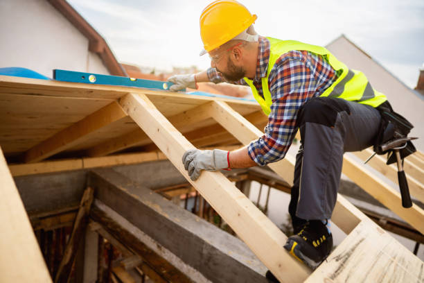 Best Roof Gutter Cleaning  in Lowell, AR