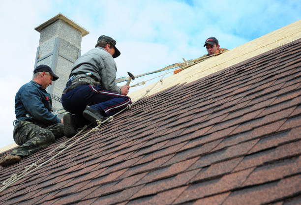 Trusted Lowell, AR Roofing Contractor Experts